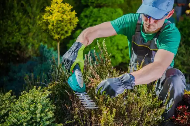 landscaping services Harbor Beach